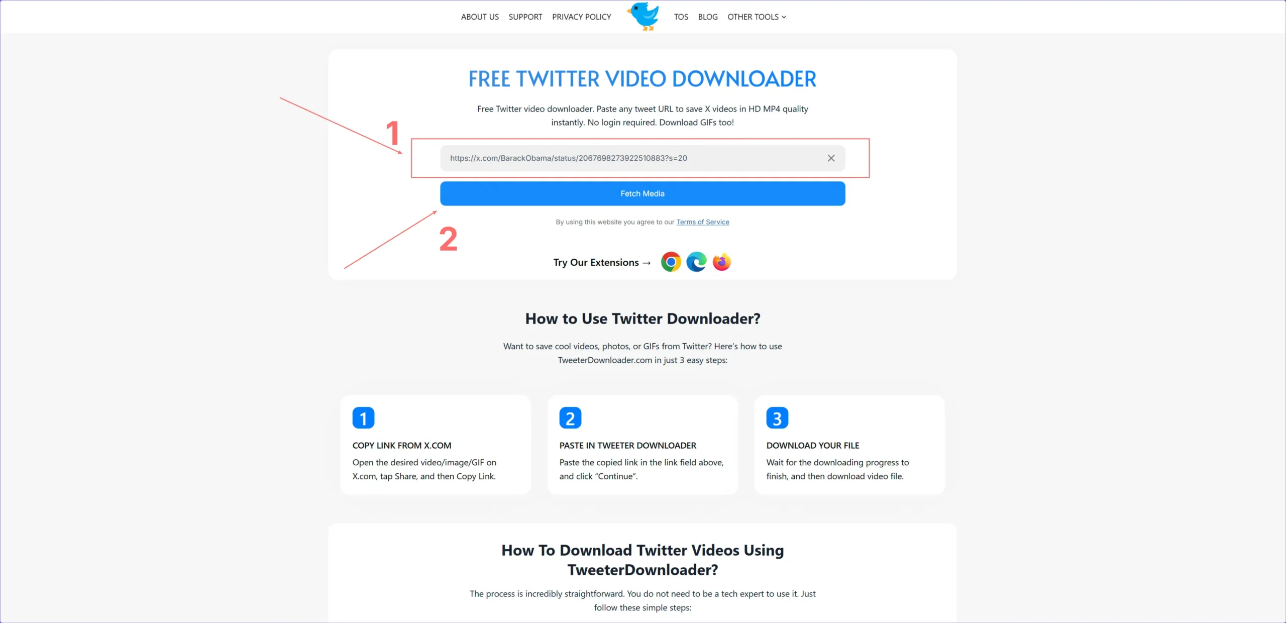 paste the copied url and hit fetch media button