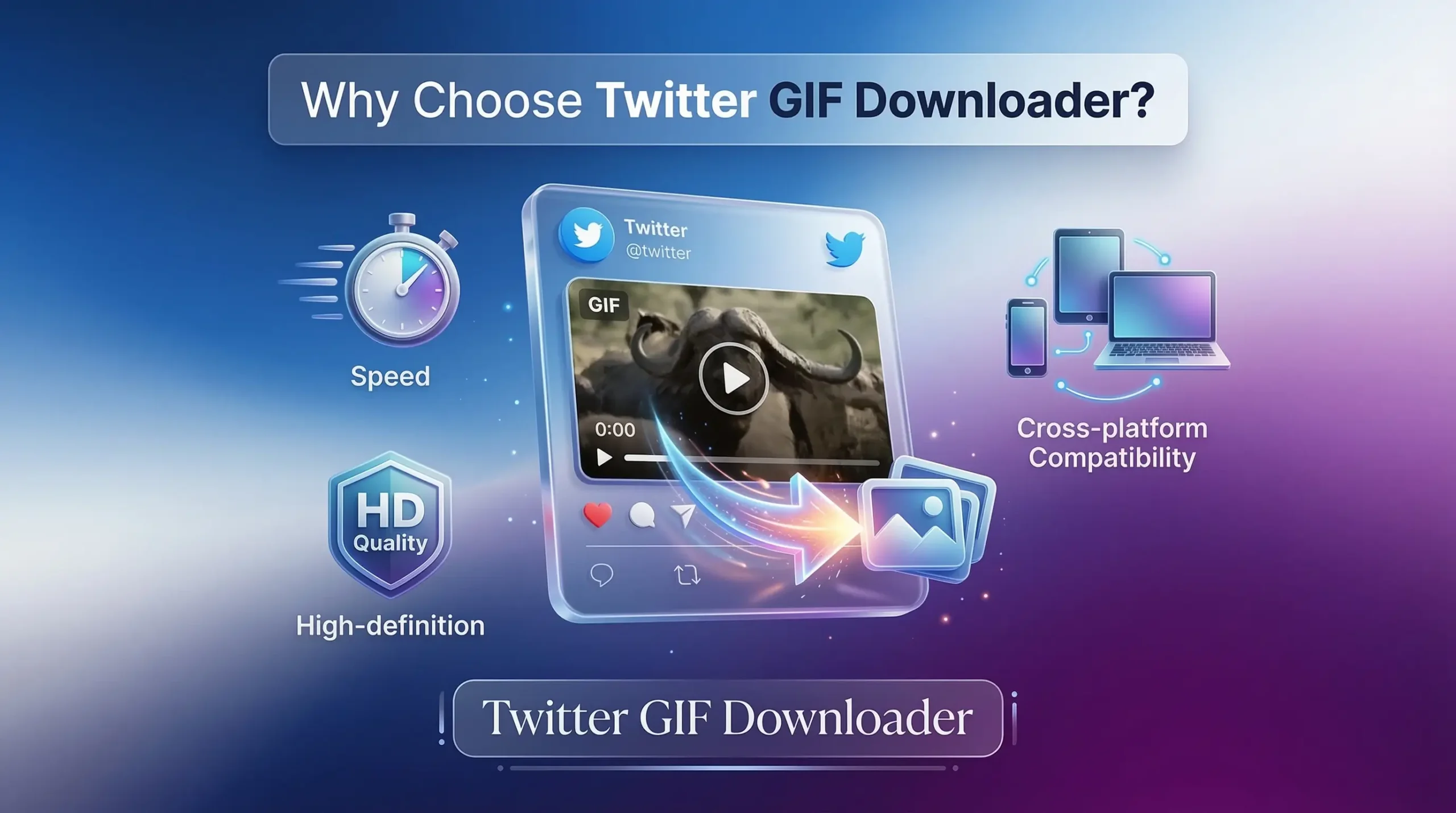 why-choose-twitter-gif-downloader