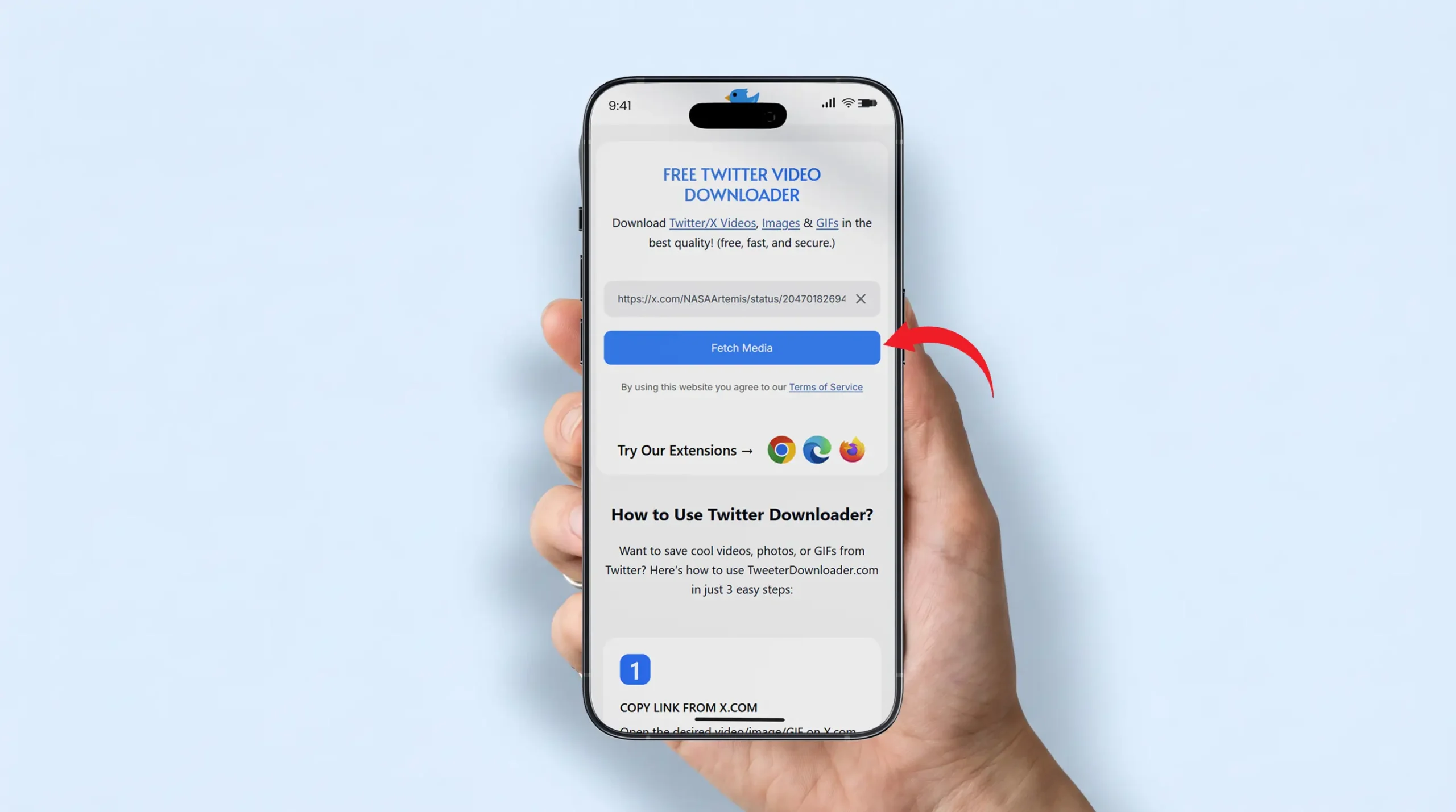 Pasting tweet URL into TweeterDownloader on iPhone