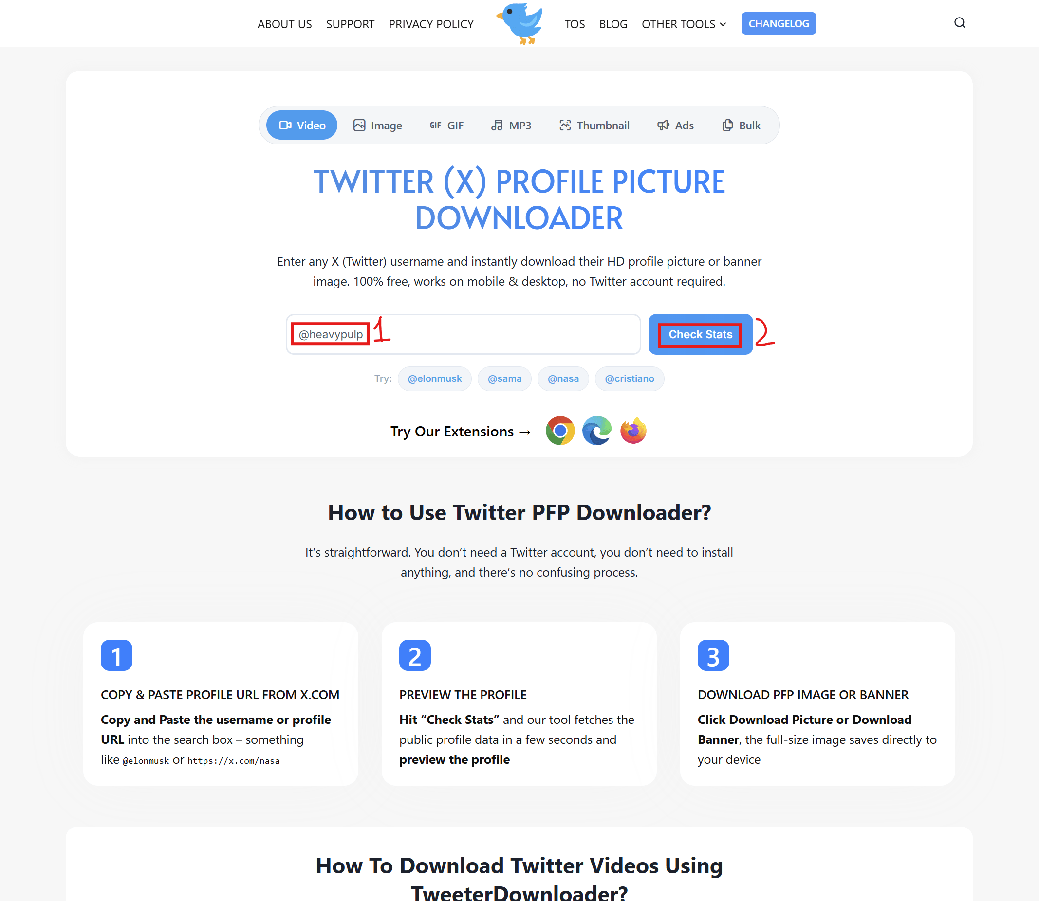 Paste Profile URL and Click Check Stats Button